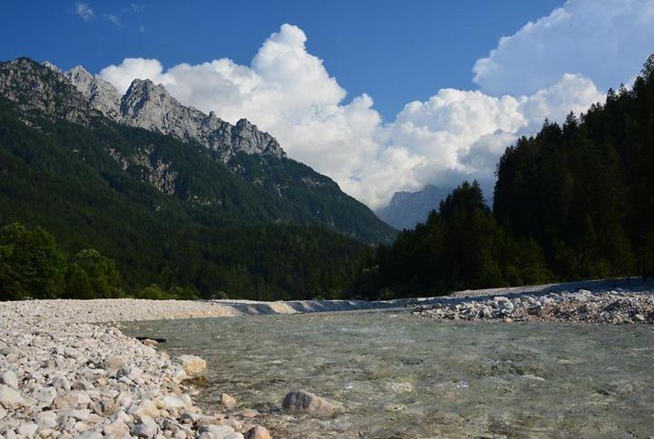Rooms Barovc By The Lake Jasna 克拉尼斯卡戈拉 外观 照片 The river in the park