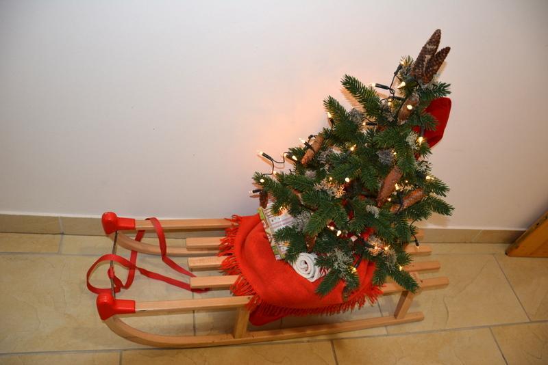 Rooms Barovc By The Lake Jasna 克拉尼斯卡戈拉 外观 照片 A Christmas tree on a sled